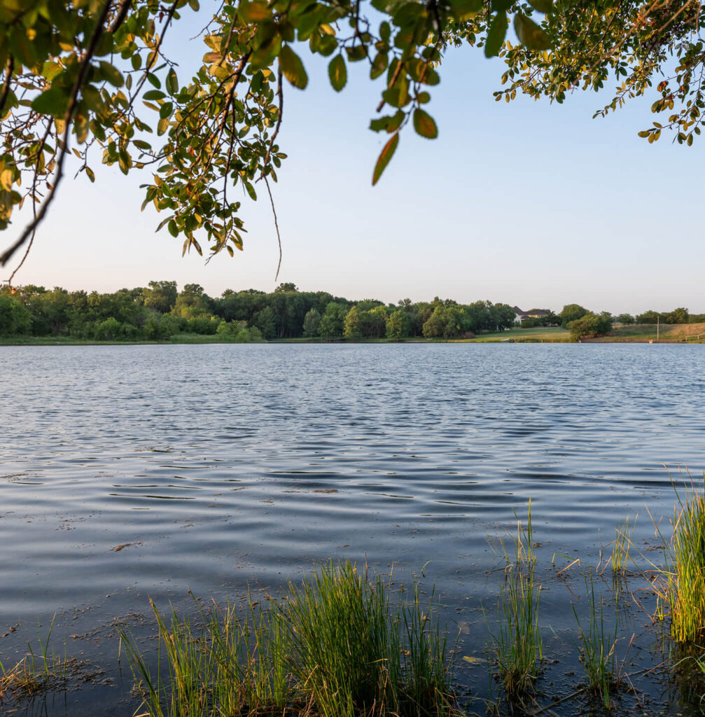 View of a calm lake with rippling water, surrounded by green trees and grasses, with branches hanging overhead under a clear sky—perfect scenery near new homes Celina TX for tranquil living.