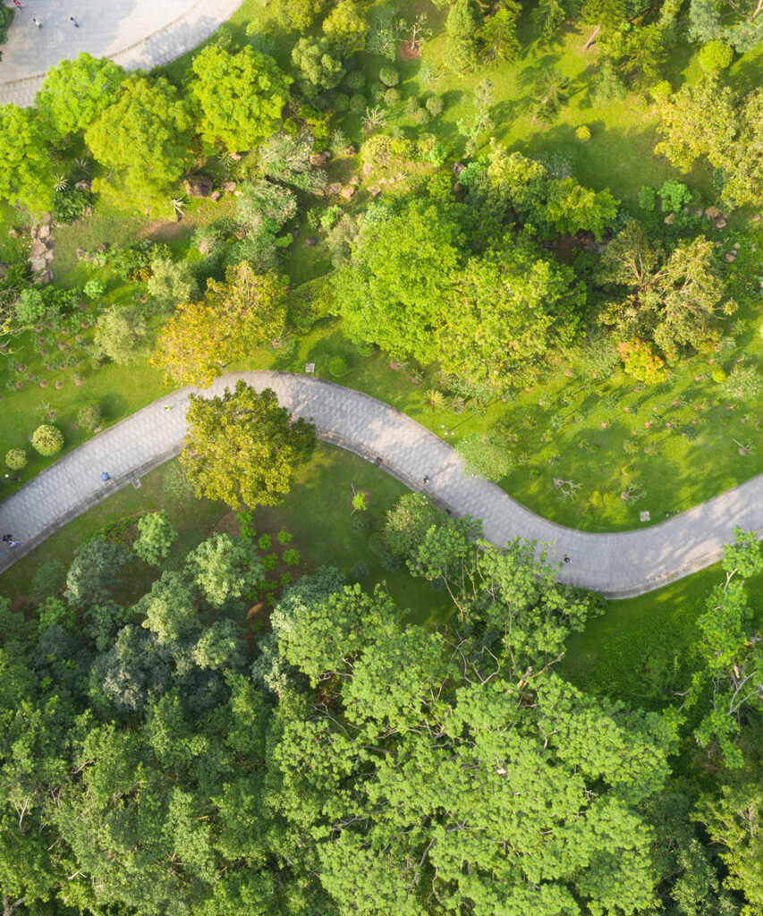 A winding paved path curves through a lush green park, surrounded by trees and grassy areas, near beautiful Ramble Homes and new homes in Celina, TX, as seen from above.