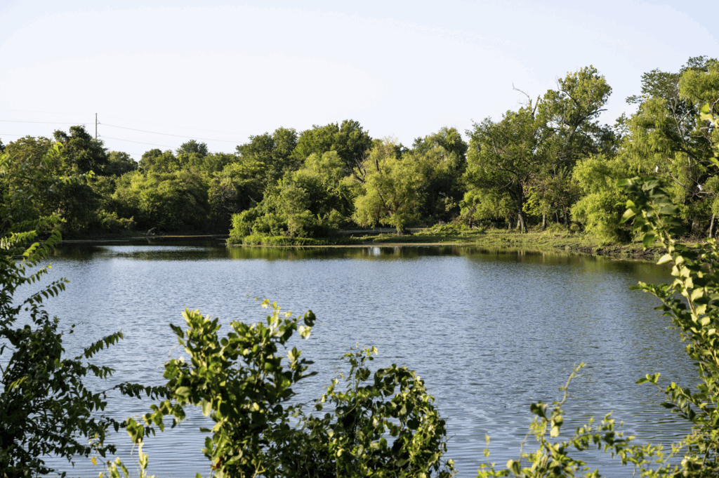 A small lake surrounded by green trees and shrubs under a clear blue sky.